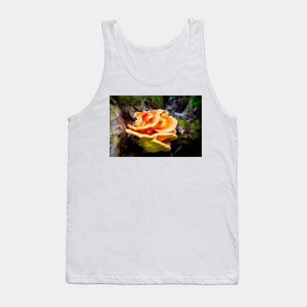 Bracket Fungi 1 Tank Top by Robert Alsop